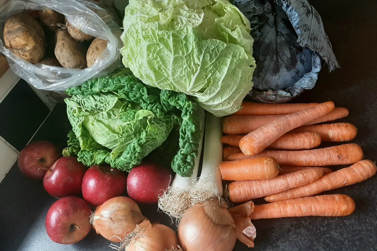 Chou, carottes, pommes de terre, oignons et pommes posés ensemble
